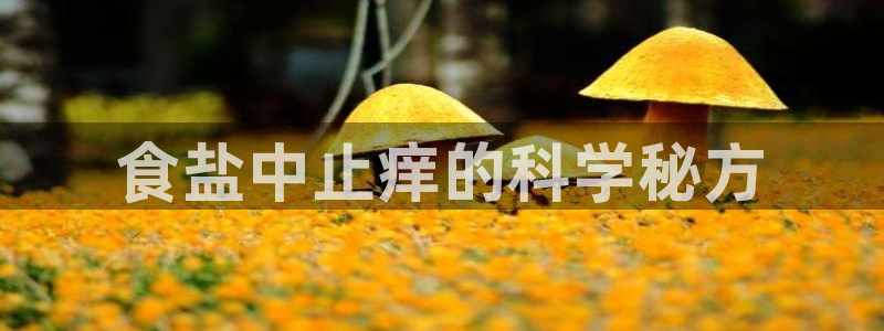 威九国际可以退钱吗怎么退款