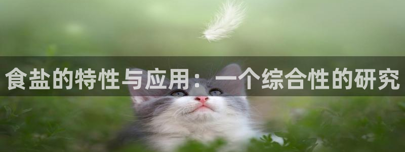 威九国际下载官网app