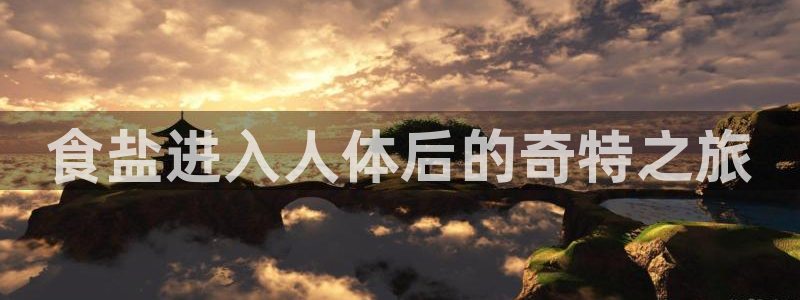 威九国际官方入口