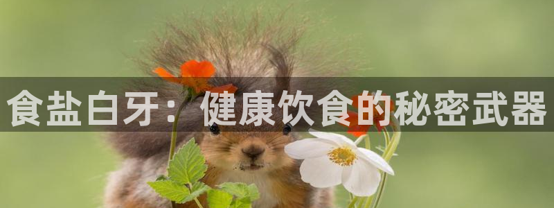 威九国际网站客服电话多少号