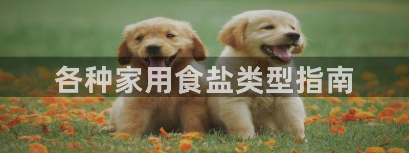 威九国际网站登录