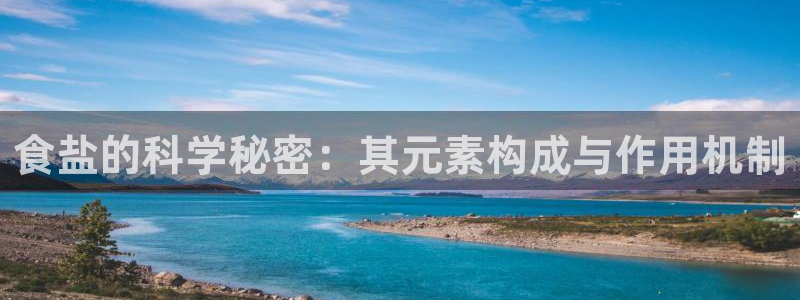 威九国际免费ppt网址