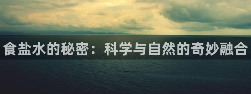 威九国际APP那个地方