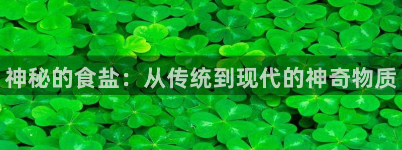 威九国际官网登录入口下载