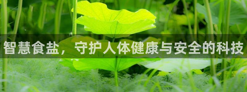 威九国际78m78免费