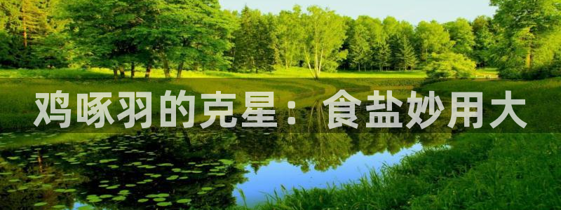 威九国际空降视频