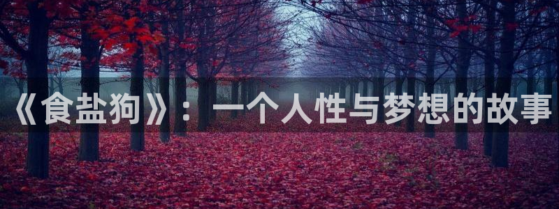 威九国际网站链接怎么打开