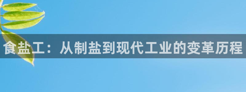 威九国际ppt免费下载