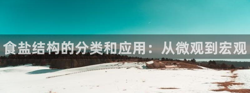 威九国际游戏app(网站)