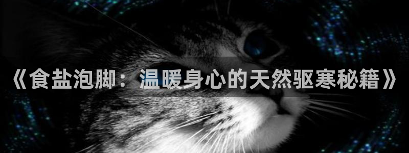 威九国际视频传媒招聘