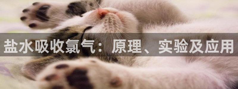 威九国际官方下载