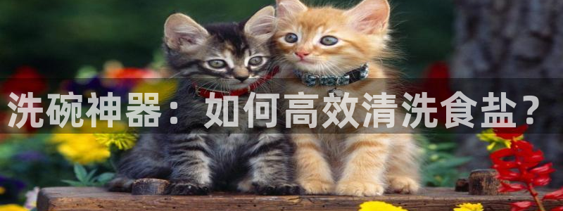 威九国际游戏app(网站)