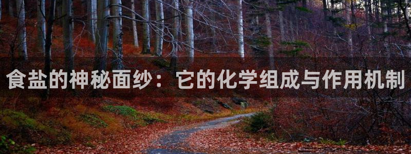 威九国际电子有限公司