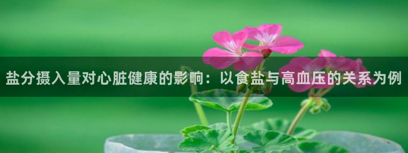 威九国际免费游戏