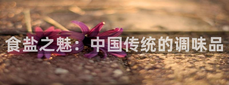 威九国际APP：食盐之魅：中国传统的调味品