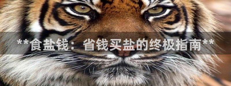 威九国际78m域名