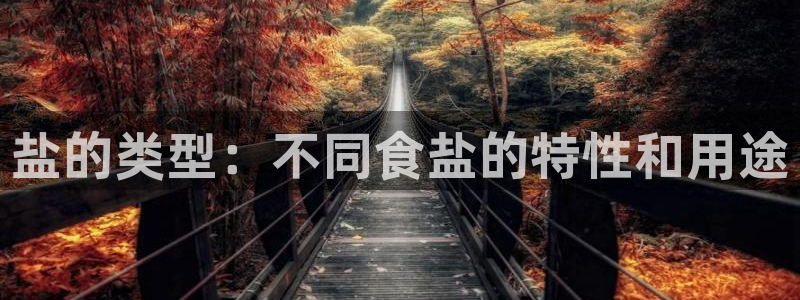 威九国际演员名单