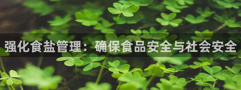 保定威九网络科技有限公司怎么样