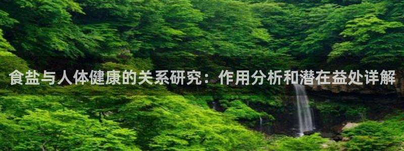 威九国际小说