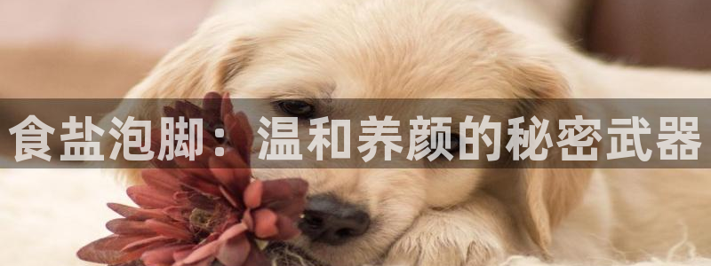威九国际网站安全吗可靠吗：食盐泡脚：温和养颜的秘密武器