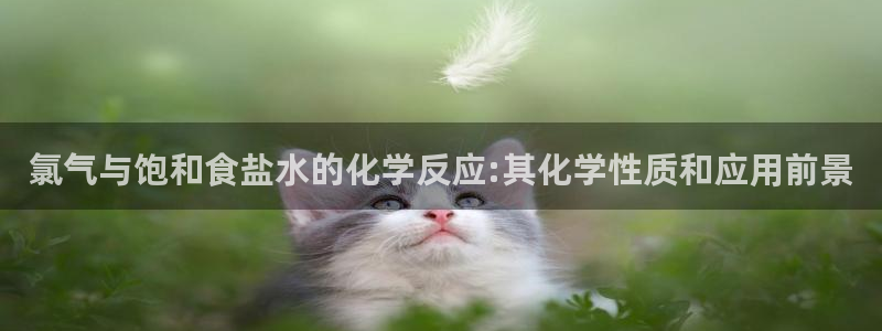 威九国际78mob游戏亮点