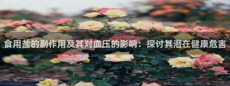 威九国际78m小说